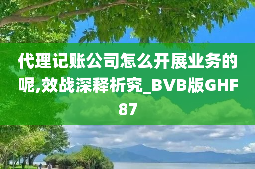 代理记账公司怎么开展业务的呢,效战深释析究_BVB版GHF87