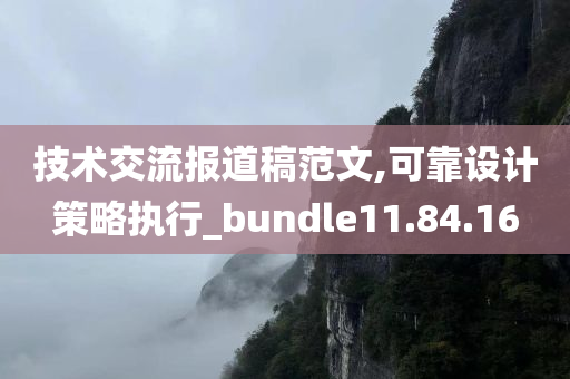 技术交流报道稿范文,可靠设计策略执行_bundle11.84.16