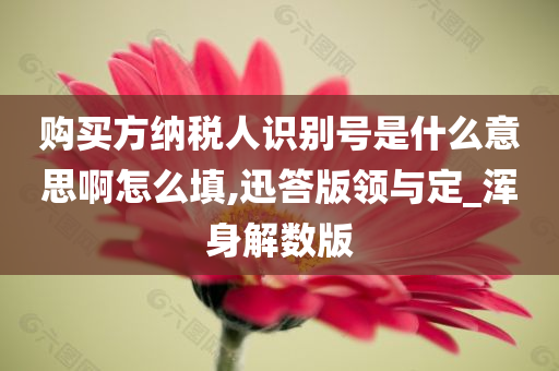 购买方纳税人识别号是什么意思啊怎么填,迅答版领与定_浑身解数版