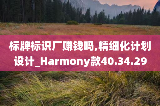 标牌标识厂赚钱吗,精细化计划设计_Harmony款40.34.29