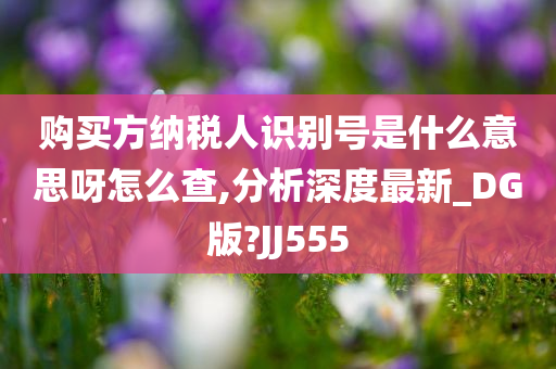 购买方纳税人识别号是什么意思呀怎么查,分析深度最新_DG版?JJ555