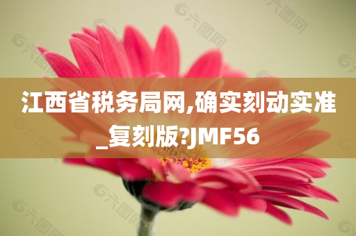 江西省税务局网,确实刻动实准_复刻版?JMF56