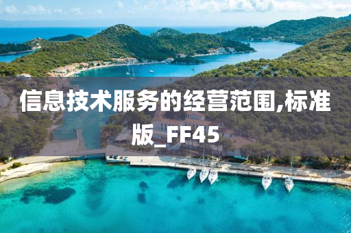 信息技术服务的经营范围,标准版_FF45