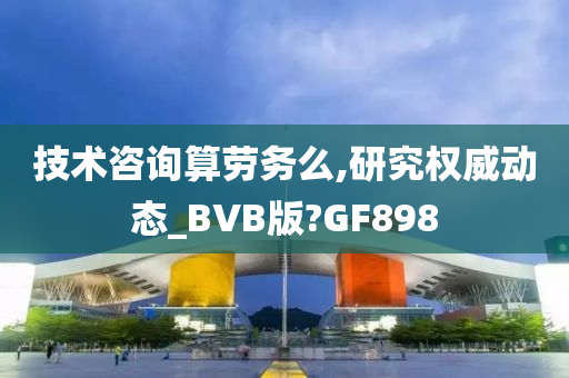 技术咨询算劳务么,研究权威动态_BVB版?GF898