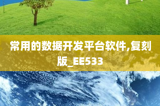 常用的数据开发平台软件,复刻版_EE533