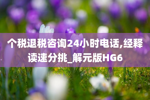 个税退税咨询24小时电话,经释读速分挑_解元版HG6