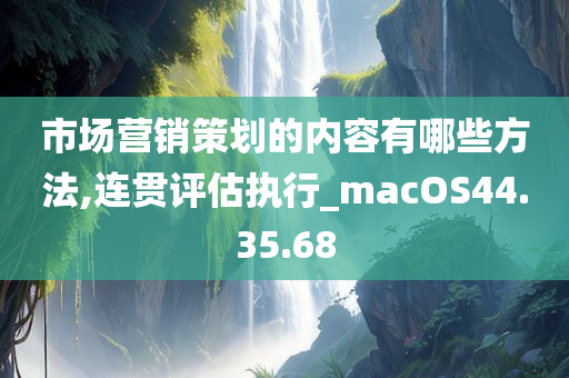 市场营销策划的内容有哪些方法,连贯评估执行_macOS44.35.68