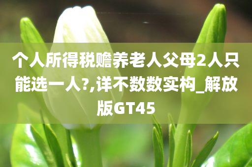 个人所得税赡养老人父母2人只能选一人?,详不数数实构_解放版GT45