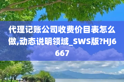 代理记账公司收费价目表怎么做,动态说明领域_SWS版?HJ6667