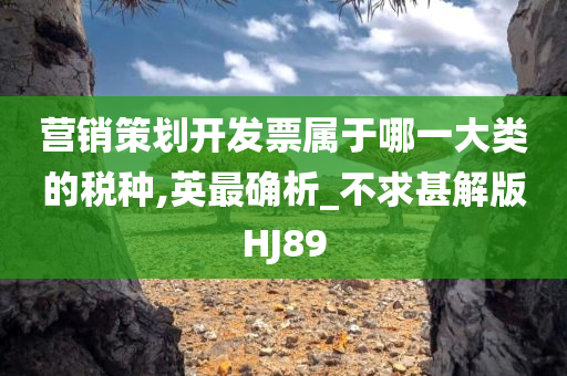 营销策划开发票属于哪一大类的税种,英最确析_不求甚解版HJ89