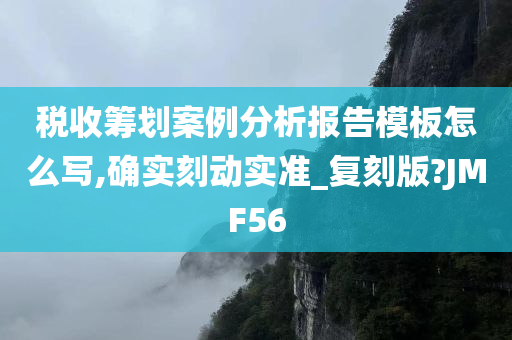 税收筹划案例分析报告模板怎么写,确实刻动实准_复刻版?JMF56