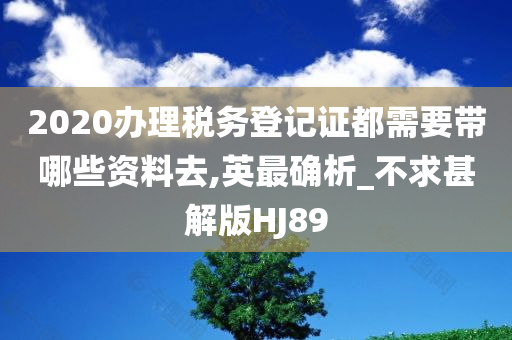 2020办理税务登记证都需要带哪些资料去,英最确析_不求甚解版HJ89