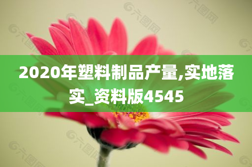 2020年塑料制品产量,实地落实_资料版4545