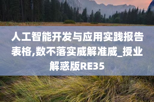 人工智能开发与应用实践报告表格,数不落实威解准威_授业解惑版RE35