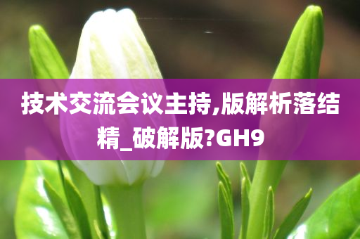 技术交流会议主持,版解析落结精_破解版?GH9