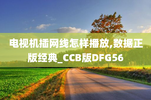 电视机插网线怎样播放,数据正版经典_CCB版DFG56