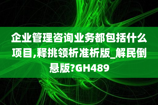 企业管理咨询业务都包括什么项目,释挑领析准析版_解民倒悬版?GH489