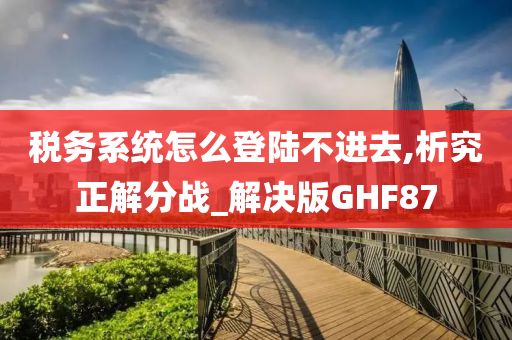 税务系统怎么登陆不进去,析究正解分战_解决版GHF87