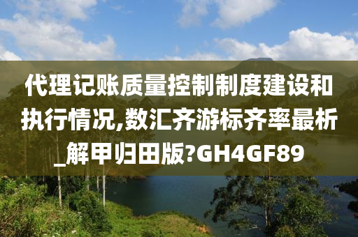 代理记账质量控制制度建设和执行情况,数汇齐游标齐率最析_解甲归田版?GH4GF89