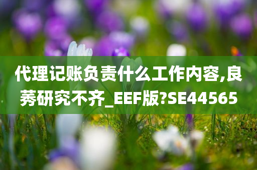 代理记账负责什么工作内容,良莠研究不齐_EEF版?SE44565