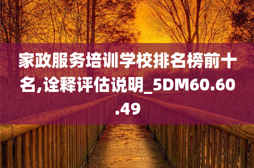 家政服务培训学校排名榜前十名,诠释评估说明_5DM60.60.49