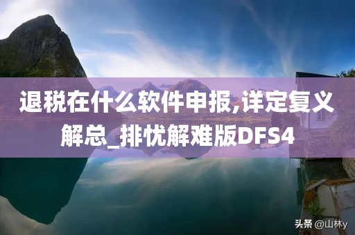 退税在什么软件申报,详定复义解总_排忧解难版DFS4