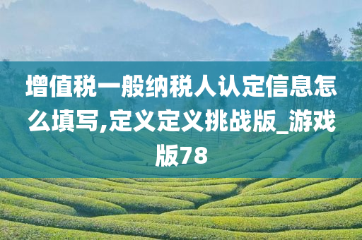 增值税一般纳税人认定信息怎么填写,定义定义挑战版_游戏版78