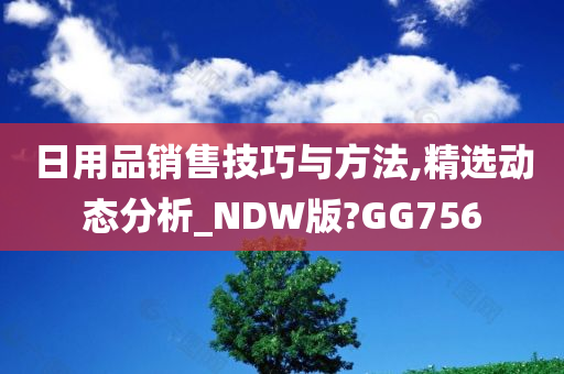 日用品销售技巧与方法,精选动态分析_NDW版?GG756