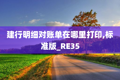 建行明细对账单在哪里打印,标准版_RE35