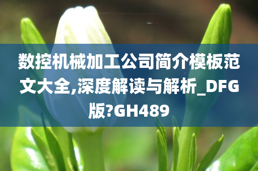 数控机械加工公司简介模板范文大全,深度解读与解析_DFG版?GH489