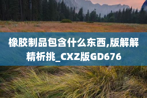 橡胶制品包含什么东西,版解解精析挑_CXZ版GD676