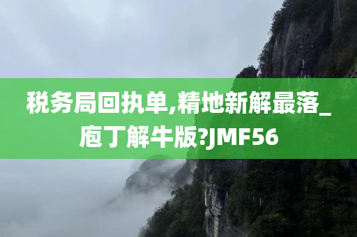 税务局回执单,精地新解最落_庖丁解牛版?JMF56