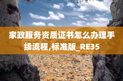 家政服务资质证书怎么办理手续流程,标准版_RE35