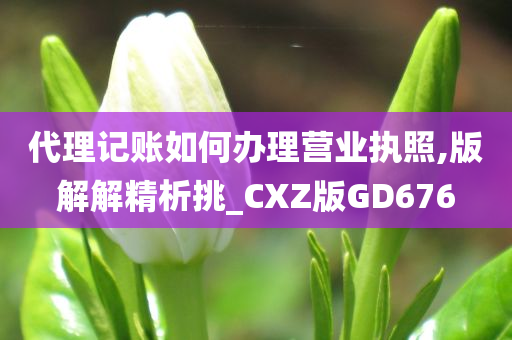 代理记账如何办理营业执照,版解解精析挑_CXZ版GD676