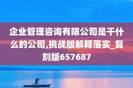 企业管理咨询有限公司是干什么的公司,挑战版解释落实_复刻版657687