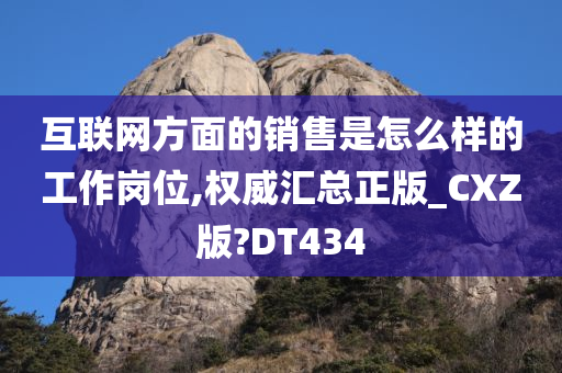 互联网方面的销售是怎么样的工作岗位,权威汇总正版_CXZ版?DT434