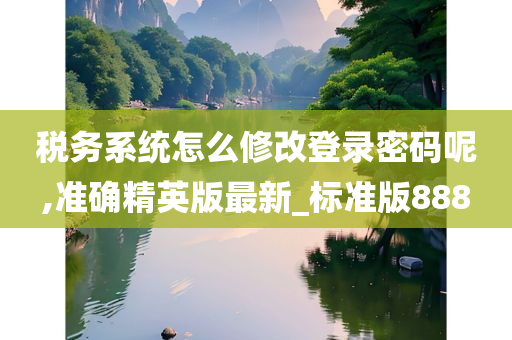 税务系统怎么修改登录密码呢,准确精英版最新_标准版888