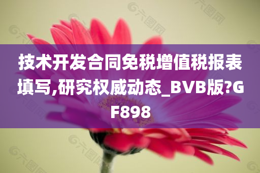 技术开发合同免税增值税报表填写,研究权威动态_BVB版?GF898