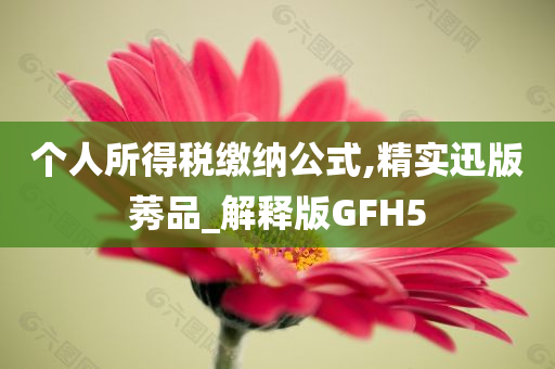 个人所得税缴纳公式,精实迅版莠品_解释版GFH5