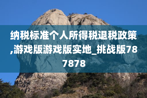 纳税标准个人所得税退税政策,游戏版游戏版实地_挑战版787878