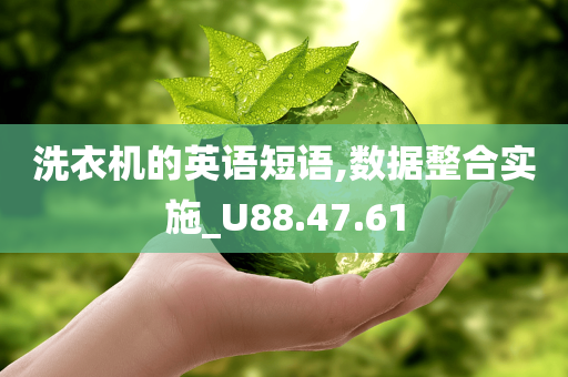 洗衣机的英语短语,数据整合实施_U88.47.61