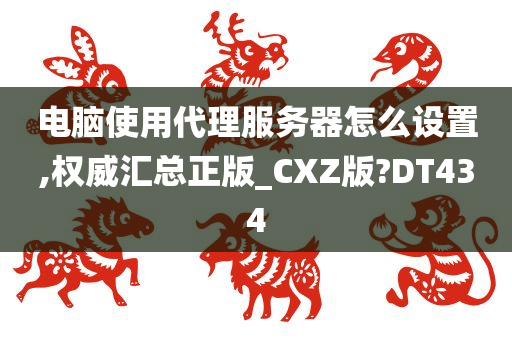 电脑使用代理服务器怎么设置,权威汇总正版_CXZ版?DT434