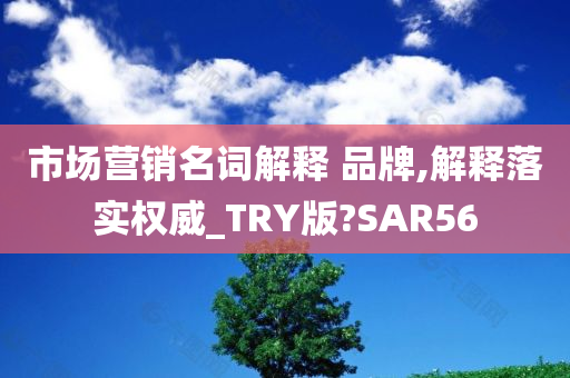 市场营销名词解释 品牌,解释落实权威_TRY版?SAR56