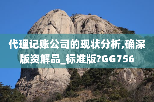 代理记账公司的现状分析,确深版资解品_标准版?GG756