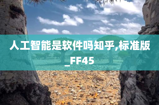 人工智能是软件吗知乎,标准版_FF45