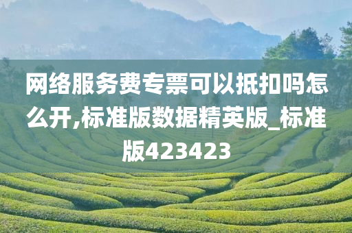 网络服务费专票可以抵扣吗怎么开,标准版数据精英版_标准版423423