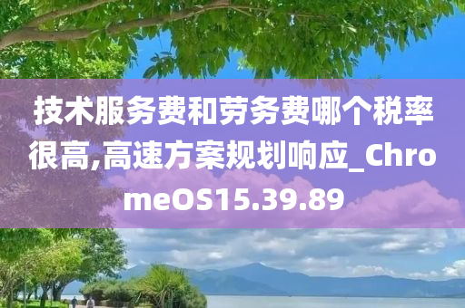 技术服务费和劳务费哪个税率很高,高速方案规划响应_ChromeOS15.39.89