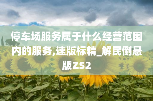 停车场服务属于什么经营范围内的服务,速版标精_解民倒悬版ZS2