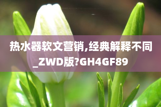 热水器软文营销,经典解释不同_ZWD版?GH4GF89