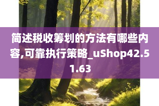 简述税收筹划的方法有哪些内容,可靠执行策略_uShop42.51.63